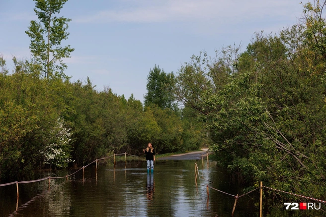 Через воду люди проходят пешком. Путь до СНТ занимает ориентировочно 20 минут | Источник: Ирина Шарова / 72.RU