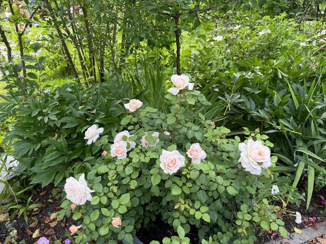 Останавливаться на достигнутом героиня не планирует, продолжая совершенствовать свое детище | Источник: Вера Фукс