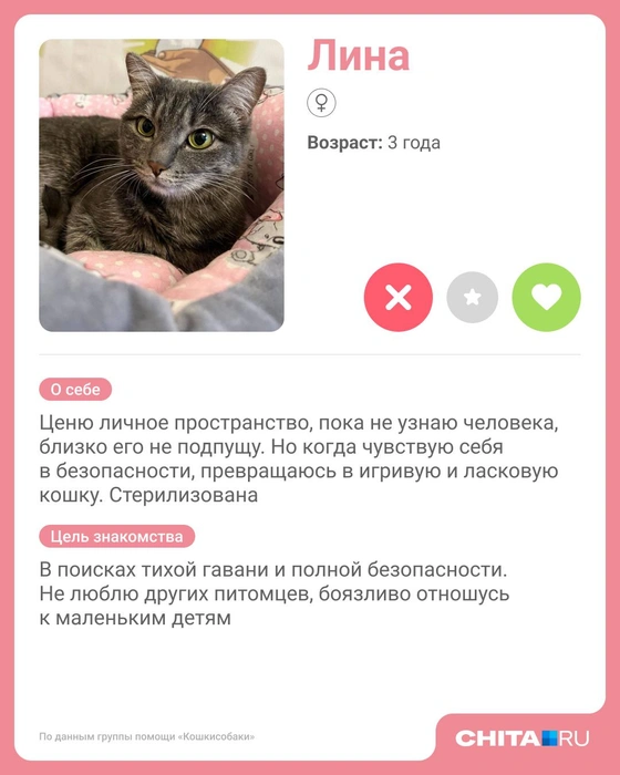 Источник: Юрий Скулыбердин / Городские медиа