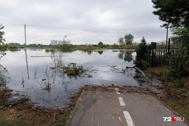Тюменцы любят Гагаринский парк&nbsp;— этот лес среди города | Источник: Ирина Шарова / 72.RU