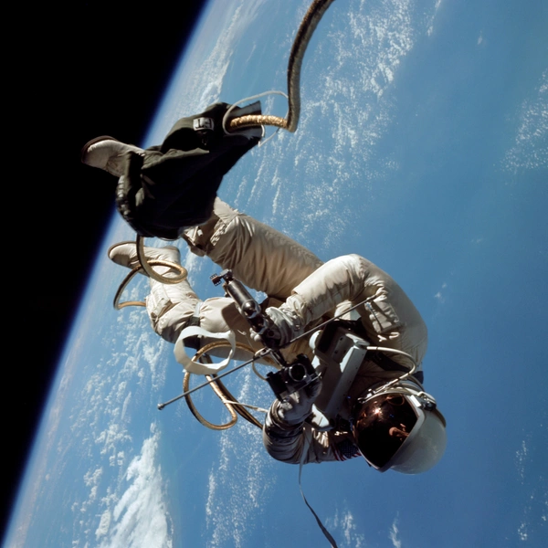 Источник: Science History Images / Alamy via Legion Media