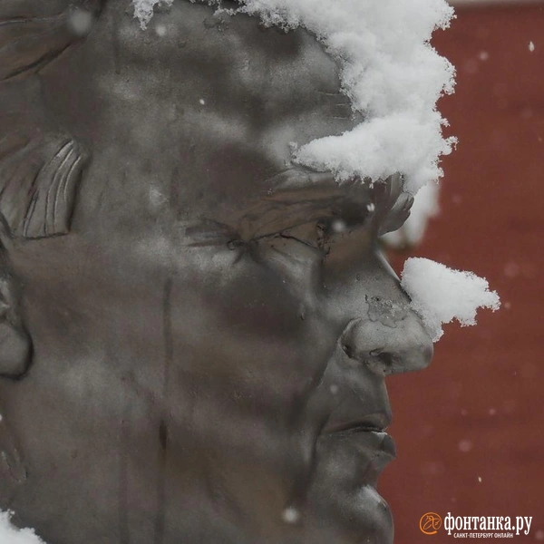 Источник: Михаил Огнев / FONTANKA.RU 