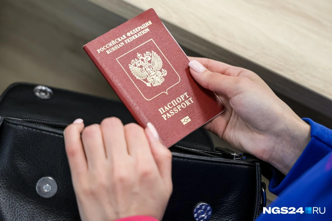 Кому они понадобились? | Источник: Мария Ленц / NGS24.RU