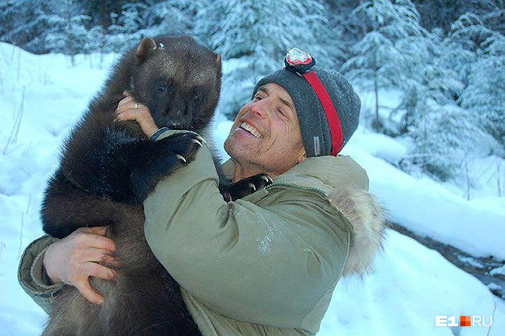 «У нее укус — как у белого медведя»: зачем первый в мире укротитель росомах прилетел в Россию?