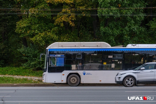 Уфимцы перечислили свою боль | Источник: Булат Салихов / UFA1.RU