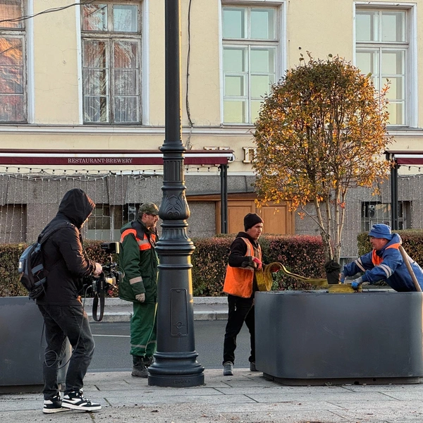 Источник: Комитет по благоустройству Санкт-Петербурга