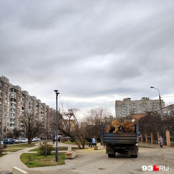 Источник: Краснодар ЮМР / T.me