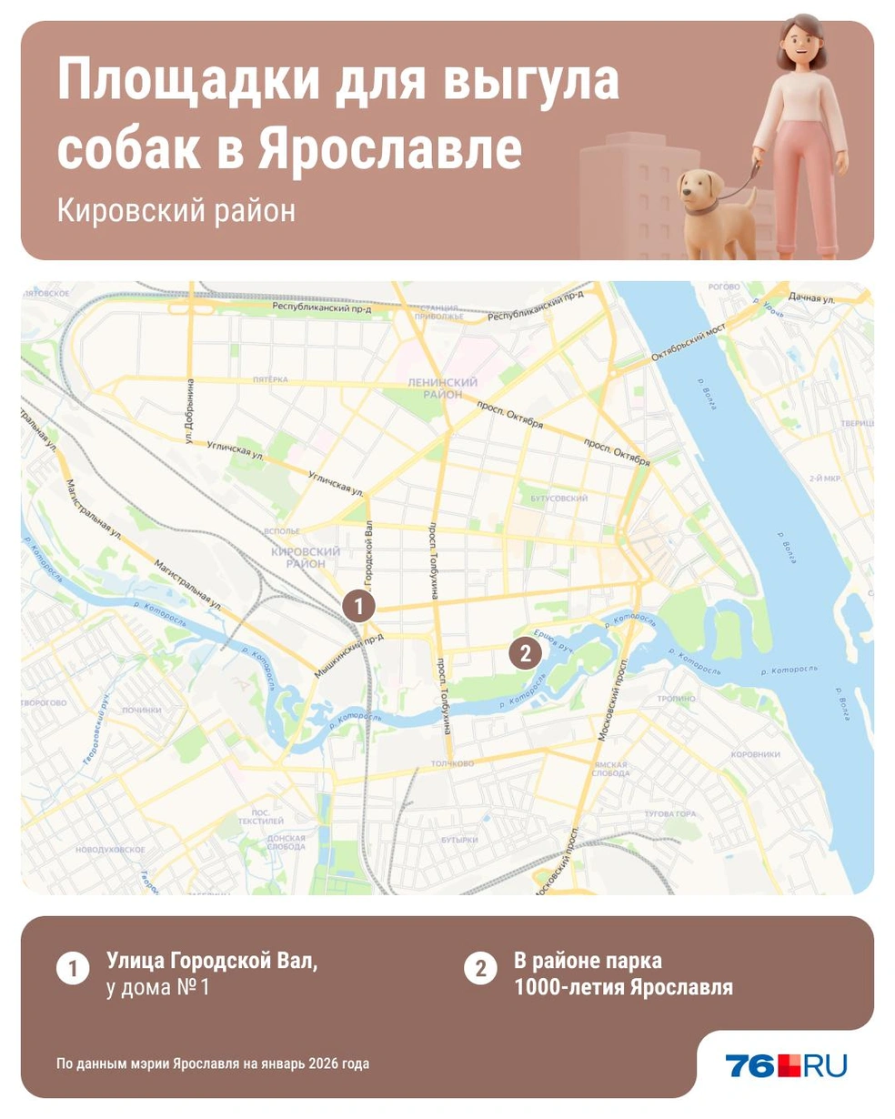 В Кировском районе&nbsp;— две площадки | Источник: Юрий Скулыбердин / Городские медиа