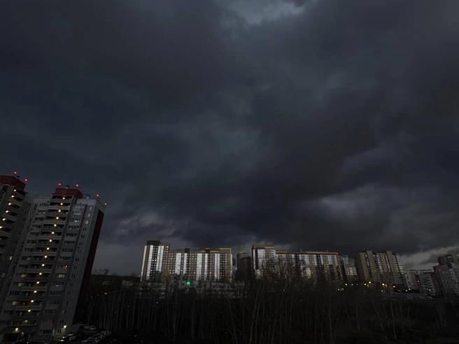 Атмосфера выглядит предельно мрачной. | Источник: читатель 74.RU