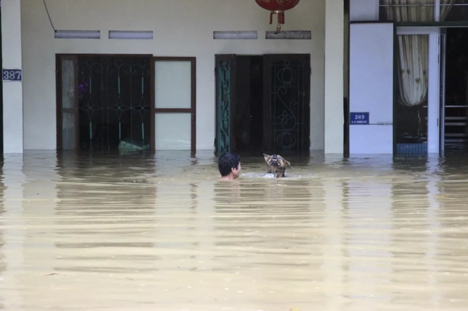 Опасность новых наводнений и оползней пока сохраняется | Источник: AP Photo / Vietnam News Agency / Minh Tam