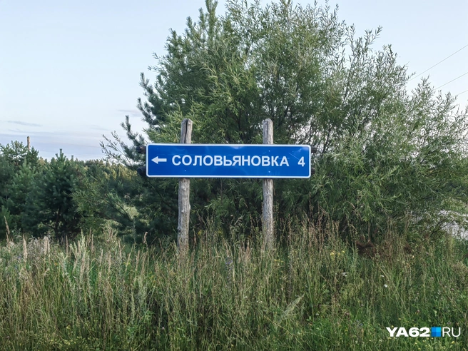 Соловьяновка и Раковка находятся по соседству | Источник: Кристина Мельникова / YA62.RU