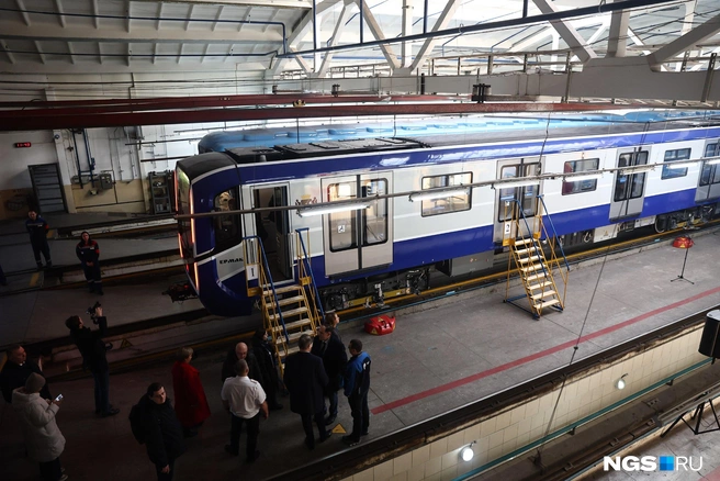 Источник: Александр Ощепков / NGS.RU