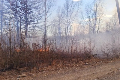 Дым от лесного пожара накрыл улицы села Победино