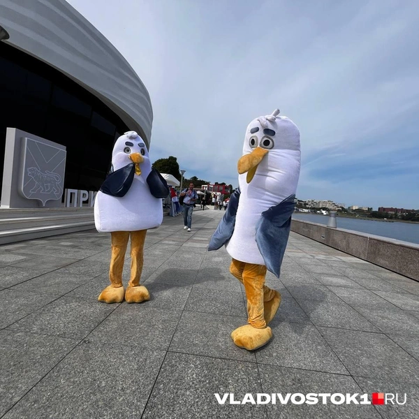 Источник: Алиса Князева / VLADIVOSTOK1.RU