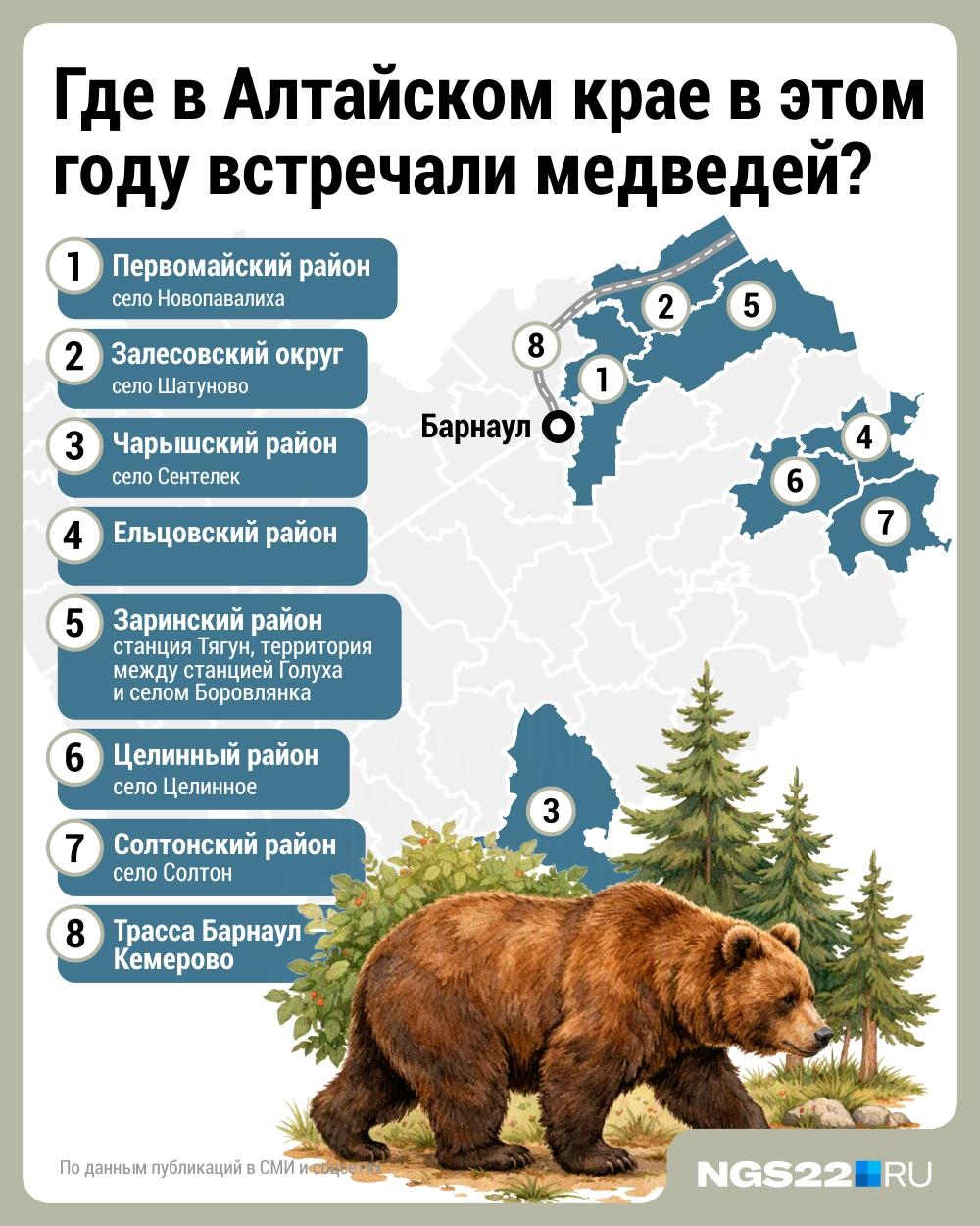 Карта выхода медведей в Алтайском крае: где встречали хищников