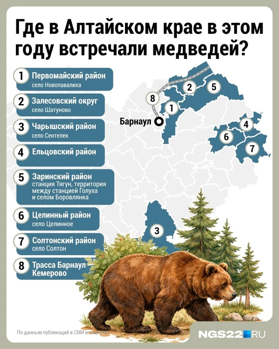 Карта выхода медведей в Алтайском крае: где встречали хищников | Источник: Городские медиа