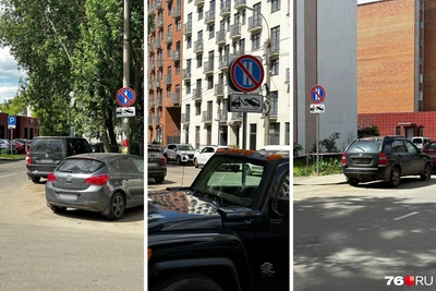 Жильцы элитного ЖК в Ярославле хотят спилить знаки парковки