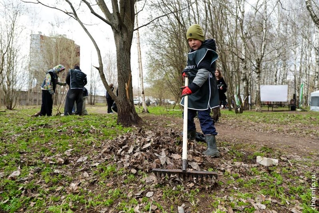 Источник: st.cherinfo.ru