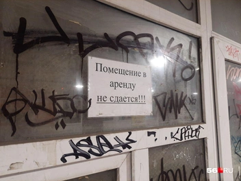 Источник: Анастасия Баринова / 56.RU&nbsp;— архив