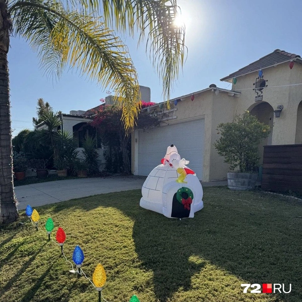 Источник: Читатель 72.RU