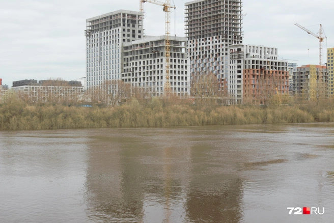 С другой стороны набережной затопило деревья. До строящихся домов вода не добралась | Источник: Павел Красоткин / 72.RU