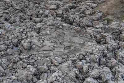 Rosprirodnadzor Demands Over 400M Rubles for Soil Contamination