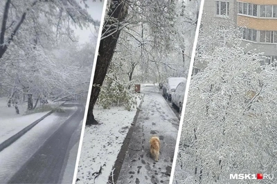 Снег в Москве: прогноз для Ярославля на конец апреля