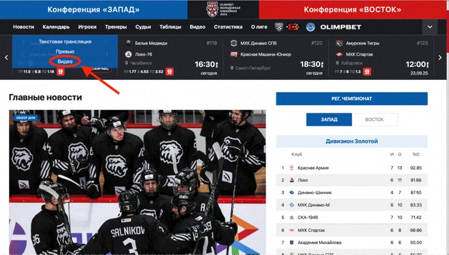 Источник: mhl.khl.ru