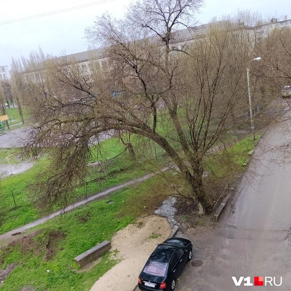 Источник: читатели V1.RU