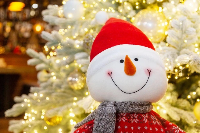 Новогоднее настроение | Источник: «Дружба»