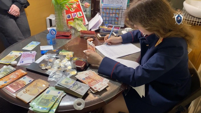 В квартирах подозреваемых прошли обыски | Источник: СК по Нижегородской области