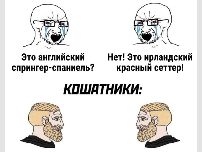 Но это неточно | Источник: Городские медиа