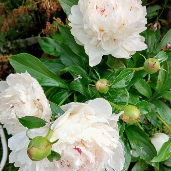 Источник: предоставлено Галиной Злобиной