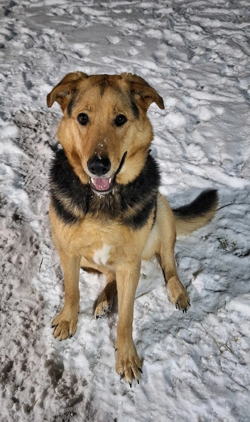 Источник: Юлия Иванова