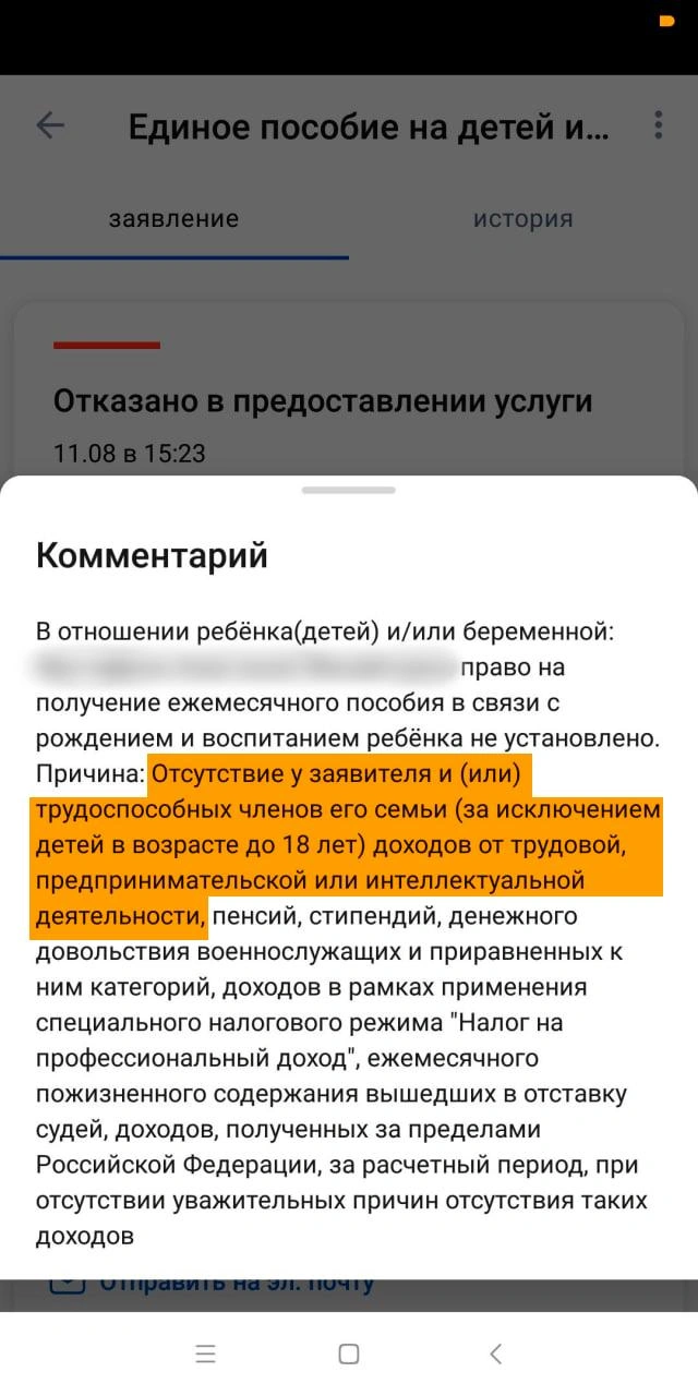 Как начисляют детское пособие самозанятым и почему важен доход всех членов  семьи - 12 декабря 2023 - 74.ру