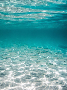 Тест: Выбери океан, и мы скажем, что тебя волнует прямо сейчас