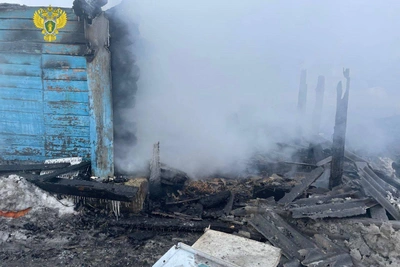 В семье погибших близнецов есть еще трое детей