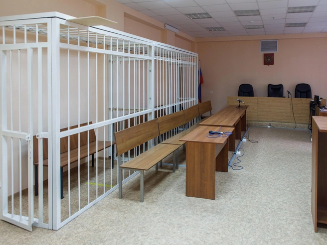Обвиняемая полностью признала вину и пошла на сотрудничество со следствием. | Источник: Алексей Волхонский / V1.RU