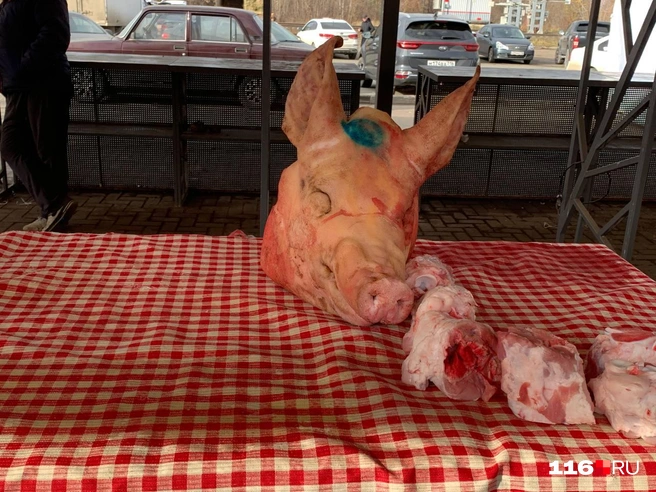 Кадр не для впечатлительных | Источник: Ильгиз Шарифзянов / 116.RU