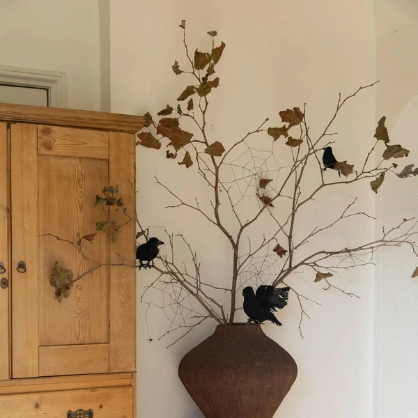 Источник: Дрю Майкл Скотт