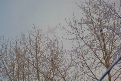 Рейсы в Архангельске задержаны из-за инцидента на полосе