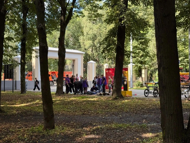 На территории парка стало гораздо чище | Источник: Пресс-служба администрации города Рязани