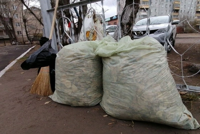 Хабаровский край поддержит Всероссийский субботник 25 апреля