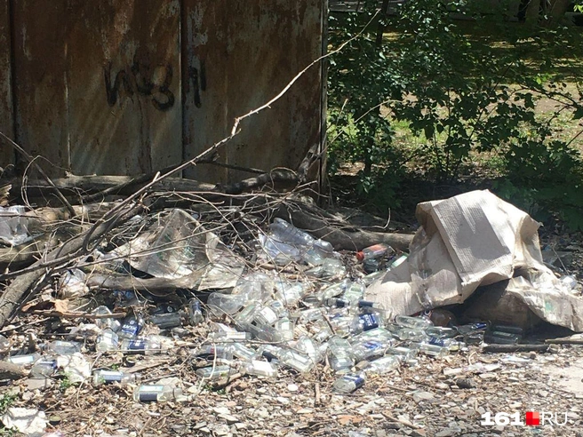 Такая картина внутри домов, которые указала в жалобе Гончарова | Источник: Наталья Гончарова