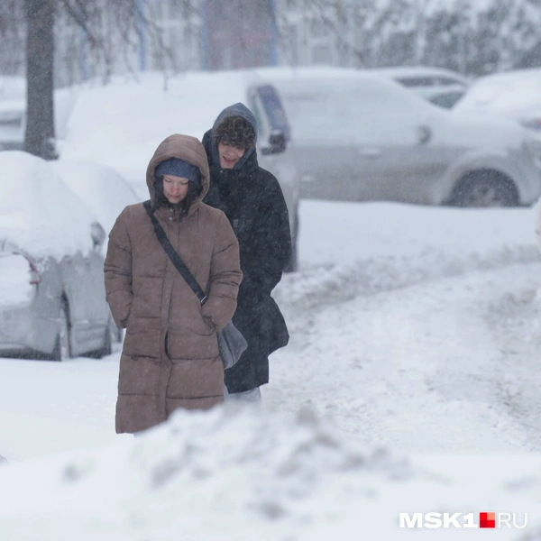 Источник: Дмитрий Толстошеев / MSK1.RU