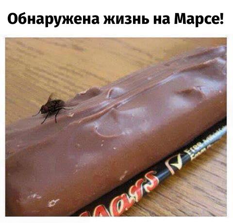 Источник: Соцсети