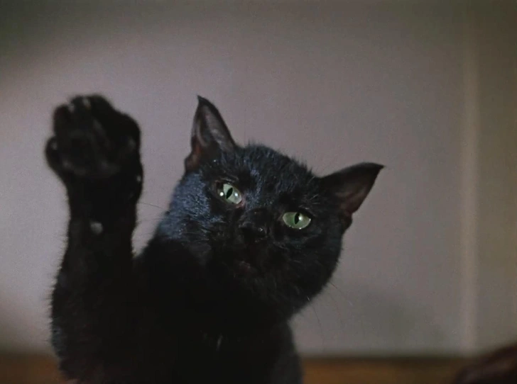  — Чао! | Источник: фильм «Иван Васильевич меняет профессию» (1973)