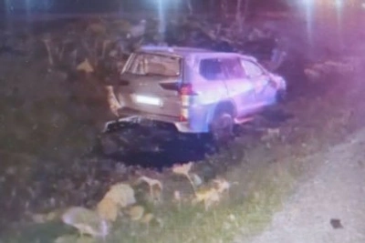 Ребенок попал под колеса авто в Южно-Сахалинске