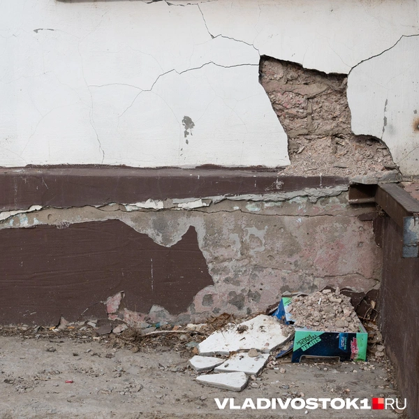 Источник: Елена Буйвол / VLADIVOSTOK1.RU