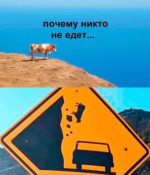 13 картинок недели и «доброе утро, дети»